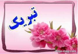 انتخاب طرح  پژوهشی جناب دکتر طیبی به عنوان طرح برگزیده دانشگاه ها و پژوهشگاه های کشور در سال ۱۴۰۱
